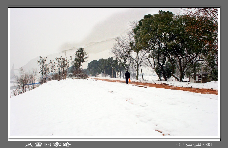 风雪回家路 摄影 乐小