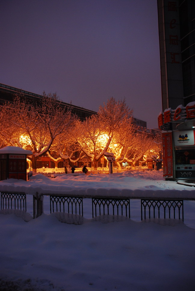 好大的雪 摄影 宏光