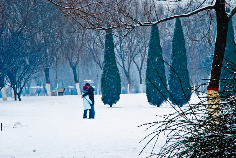 雪中情 摄影 阿呆阿瓜