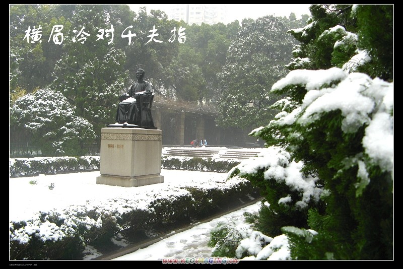 2008年一场雪 摄影 饮色者