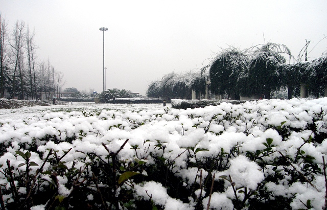 甜城雪景 摄影 网事不要再提