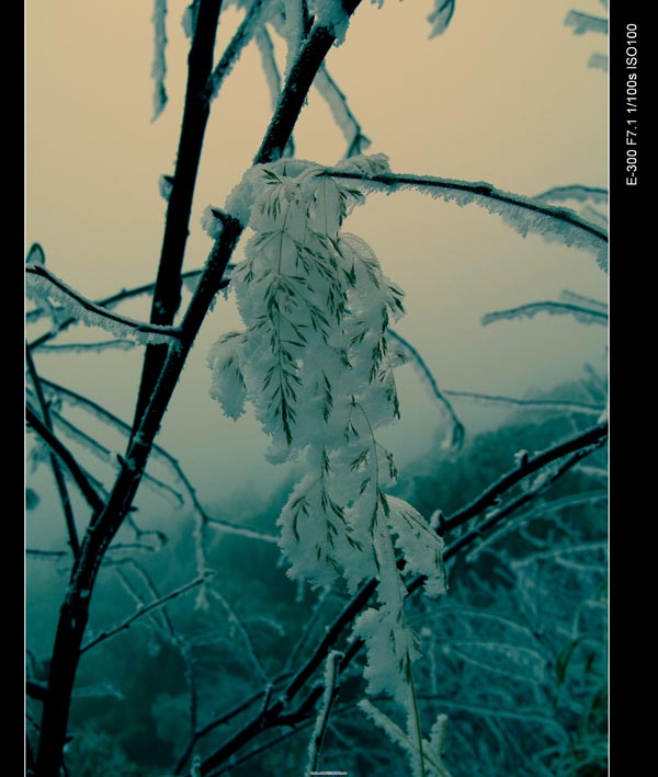 花瑶雪淞 摄影 土木人