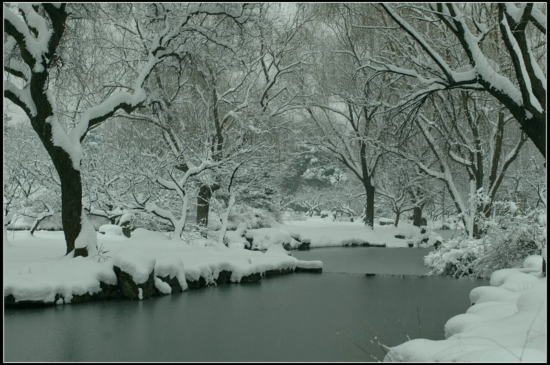 明孝陵雪景 摄影 满脸青春痘