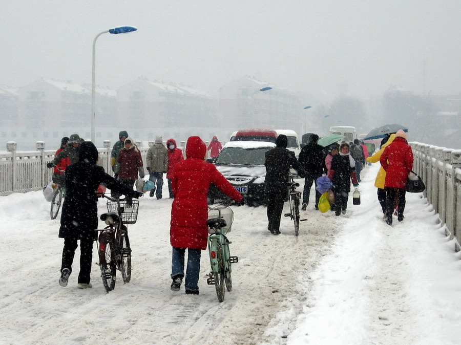 大桥风雪 摄影 华绿