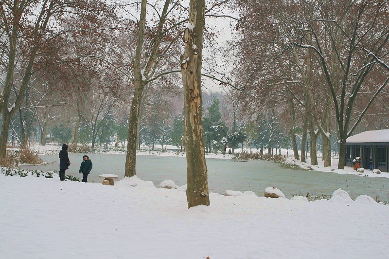 武汉 雪景 摄影 奓山人