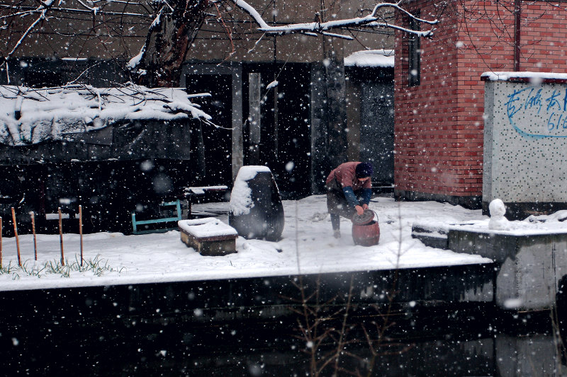 风雪小景 摄影 老听雨