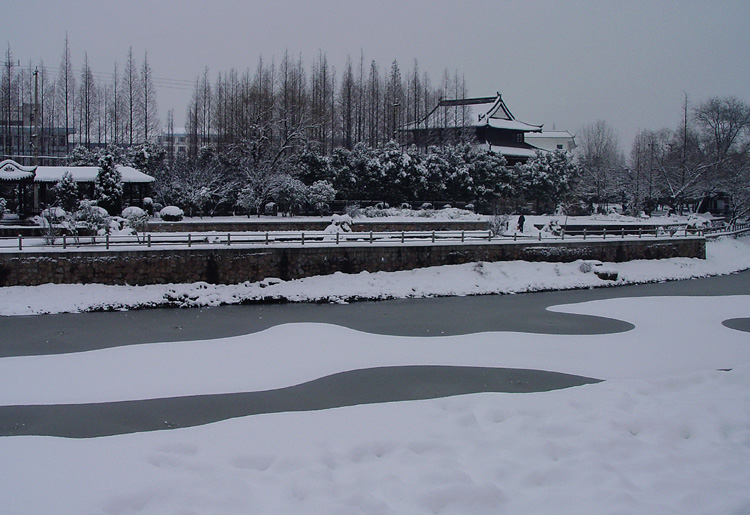 丰年好大雪 摄影 morningtigr