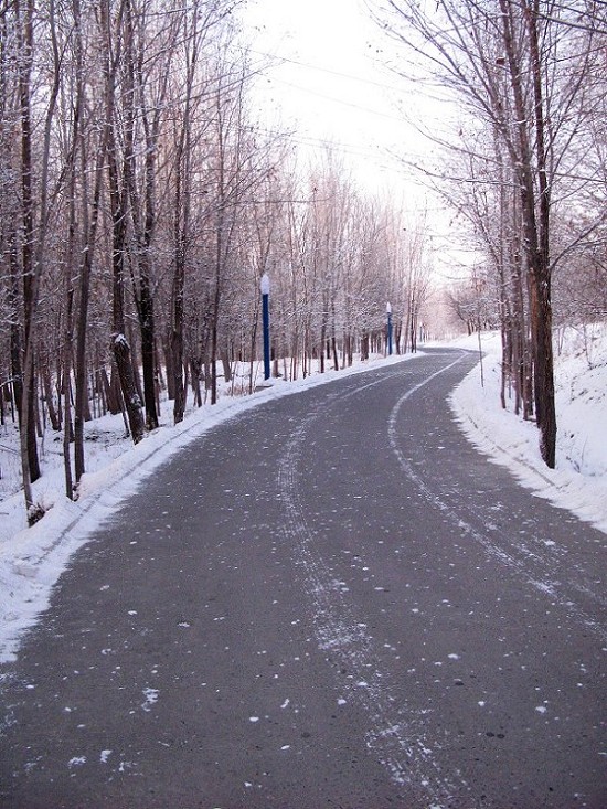 雪中路 摄影 shanfenghao