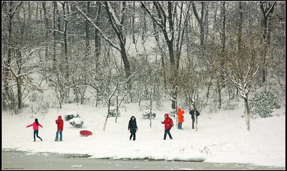 雪 摄影 lingsu