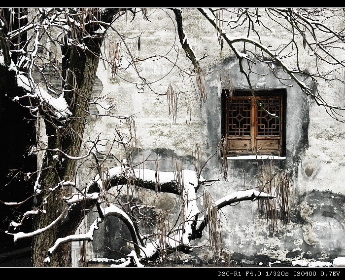 月河雪景 摄影 jx小新