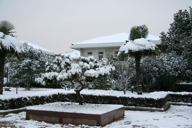 雪中家园 摄影 衣袂飘飘