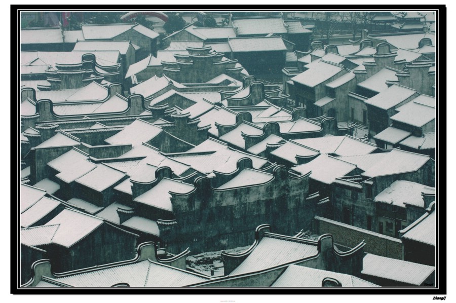 月河雪 摄影 金色一张