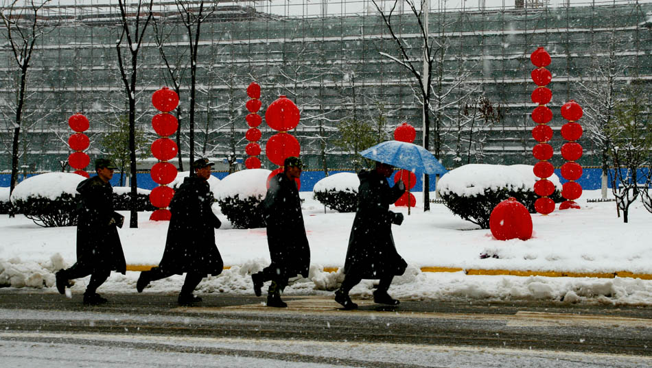 风雪中的守护 摄影 一见