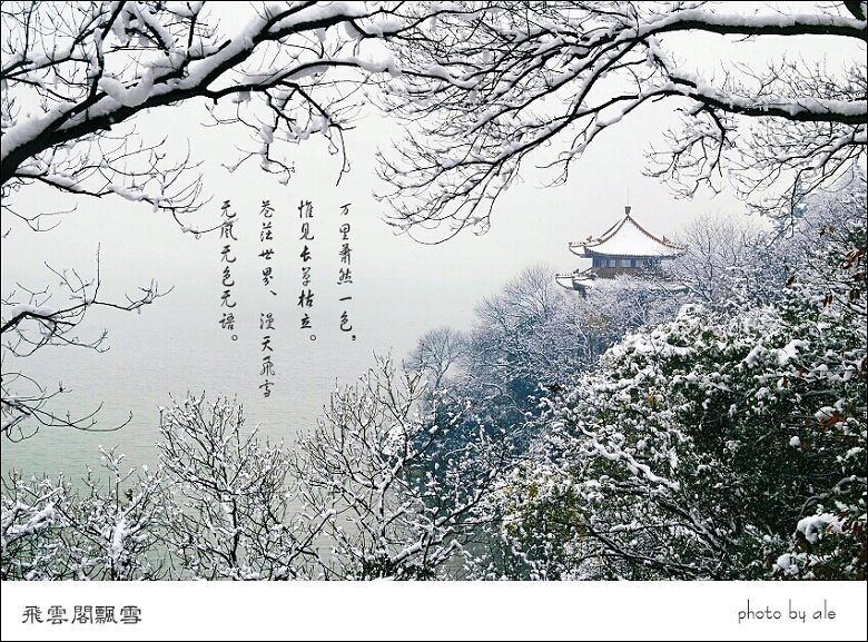 飞云阁飘雪——无锡景(95) 摄影 阿乐