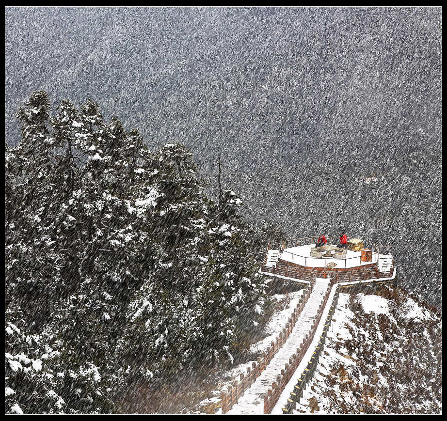 林海雪景 摄影 浪游天涯