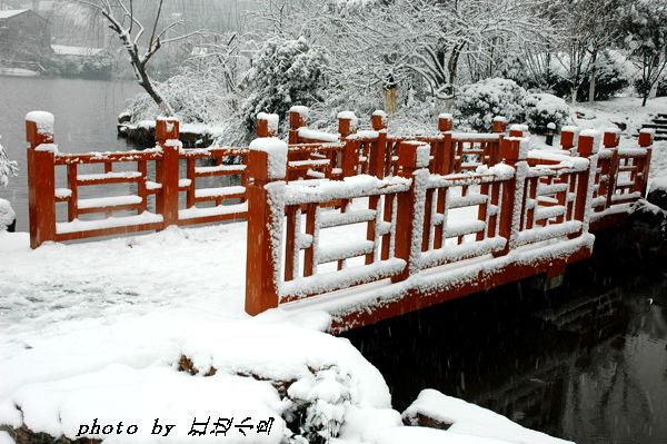 雪中小桥 摄影 江边小鸟