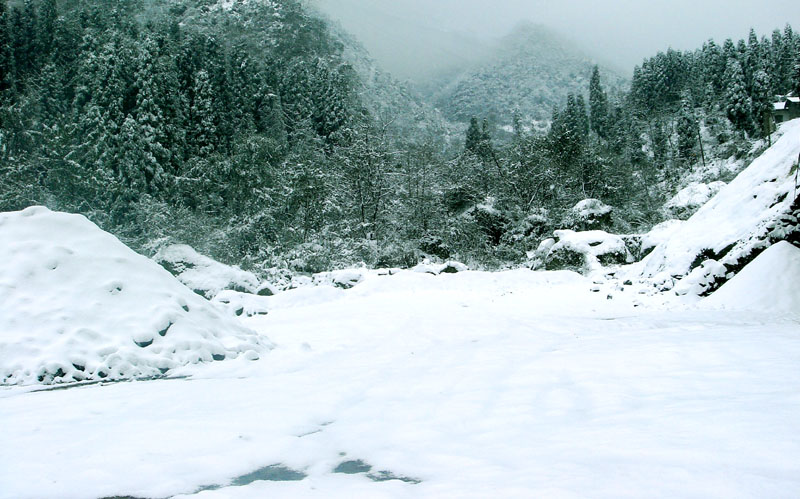 川雪 摄影 紫色女人