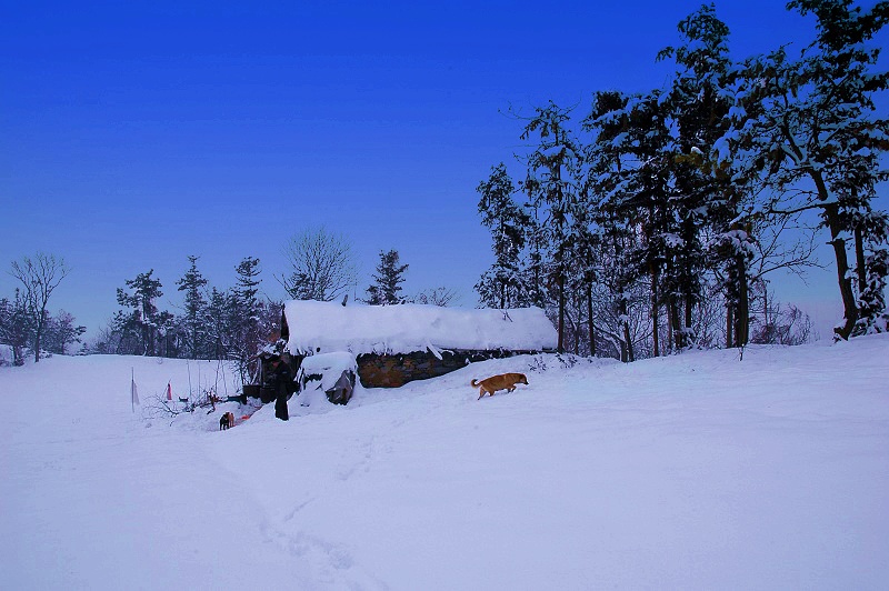 雪景 摄影 舒石