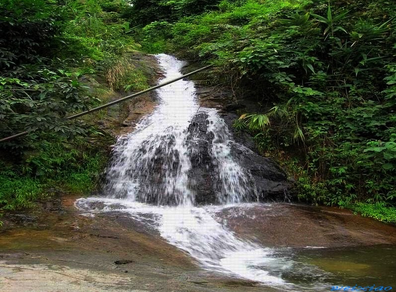 西岸风景 摄影 森林微笑