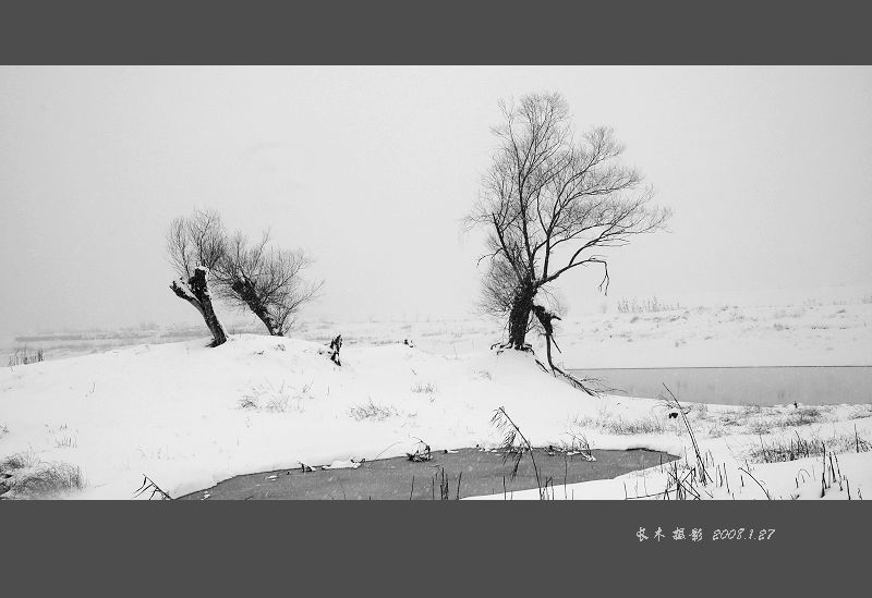 江南雪景 摄影 长木