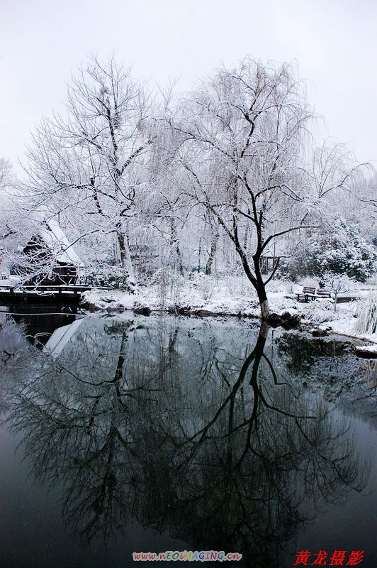 雪景 摄影 黄龙