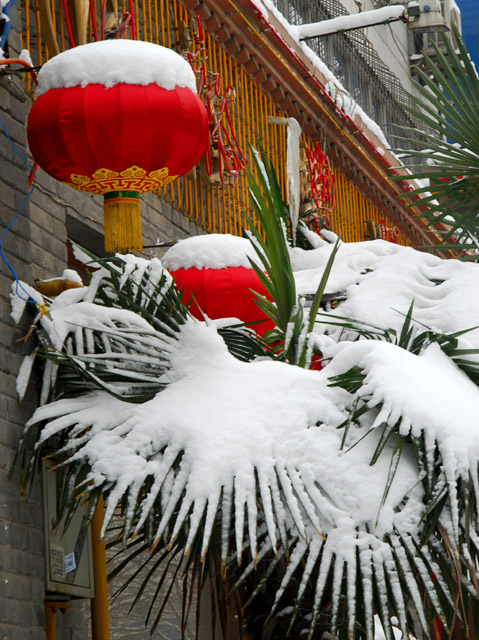 瑞雪兆丰年 摄影 山谷的风