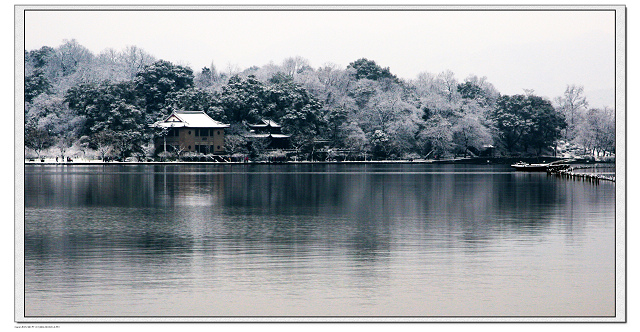 西湖雪景 摄影 wlshg