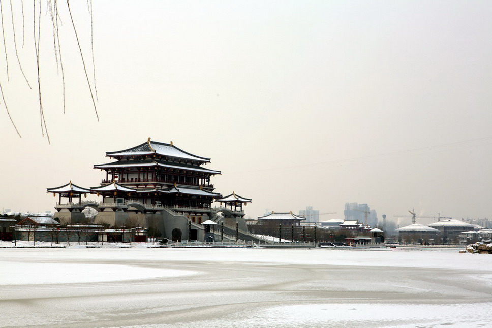 大唐芙蓉园 摄影 guanmu