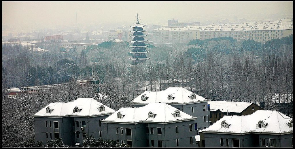 08沪上（松江）之雪 摄影 强弓硬弩