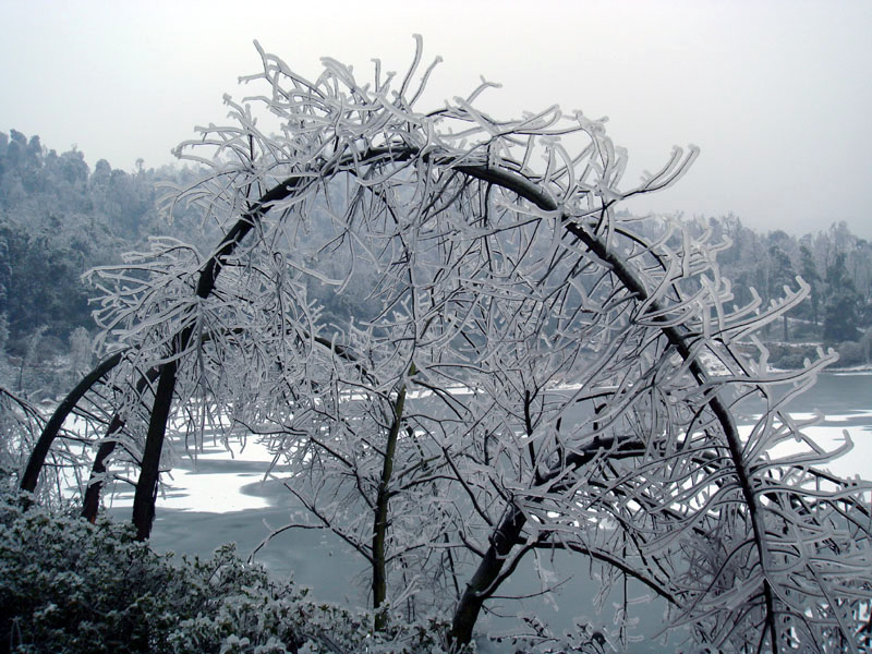 引无数英雄竟折腰 摄影 tianling
