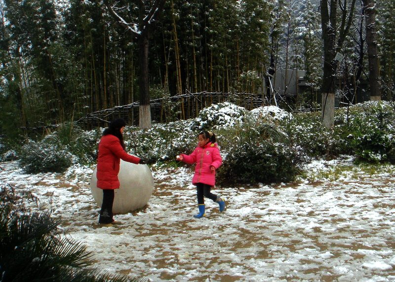 雪 摄影 叶韵