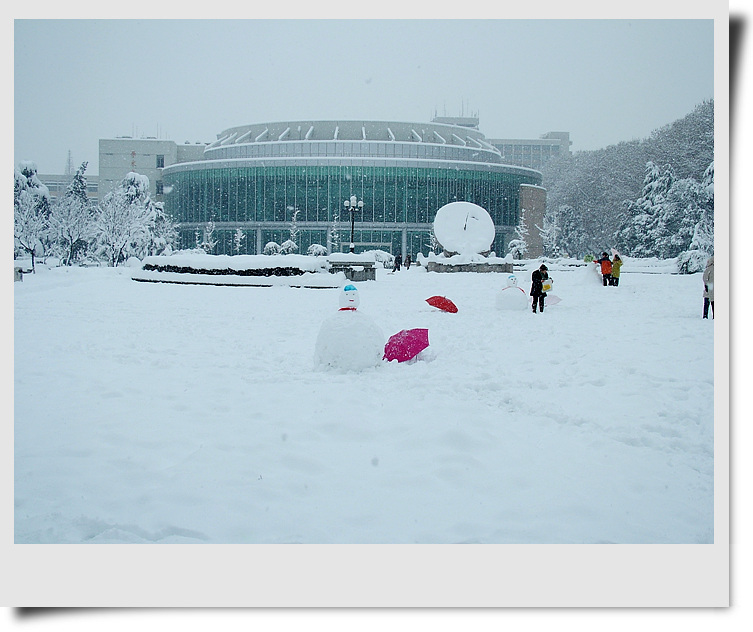 雪中校园 摄影 芬芳花