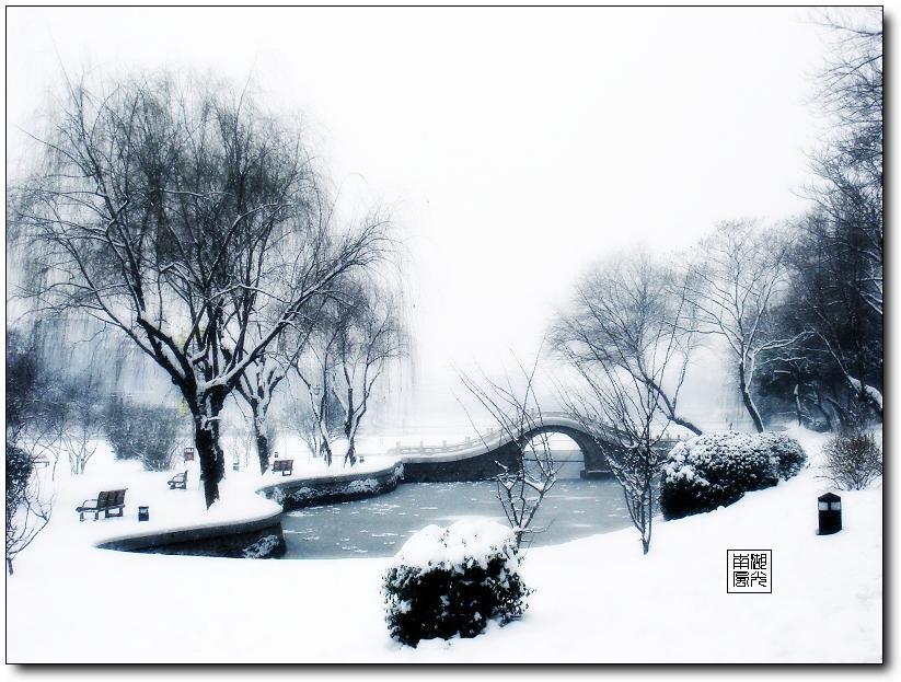 2008···滁州···雪 摄影 琅琊一醉翁