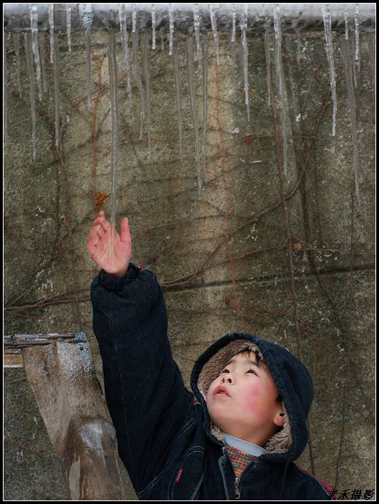 南方50年一遇的冰雪 摄影 老禾