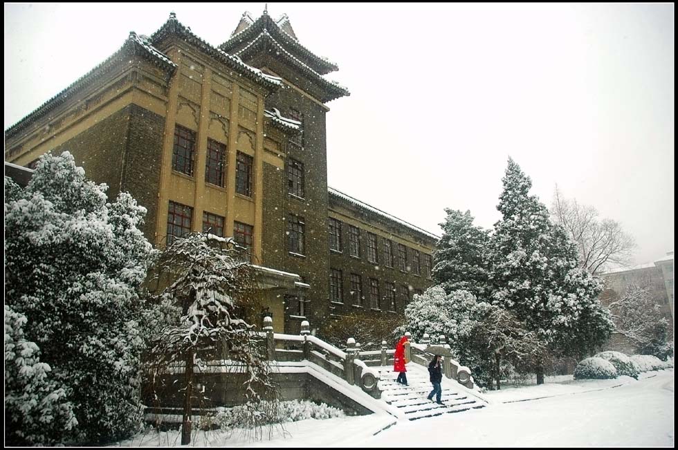 校园雪景 摄影 lingsu