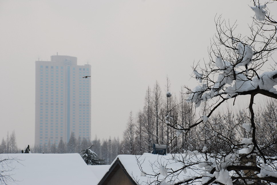 雪后金陵之一 摄影 宏光