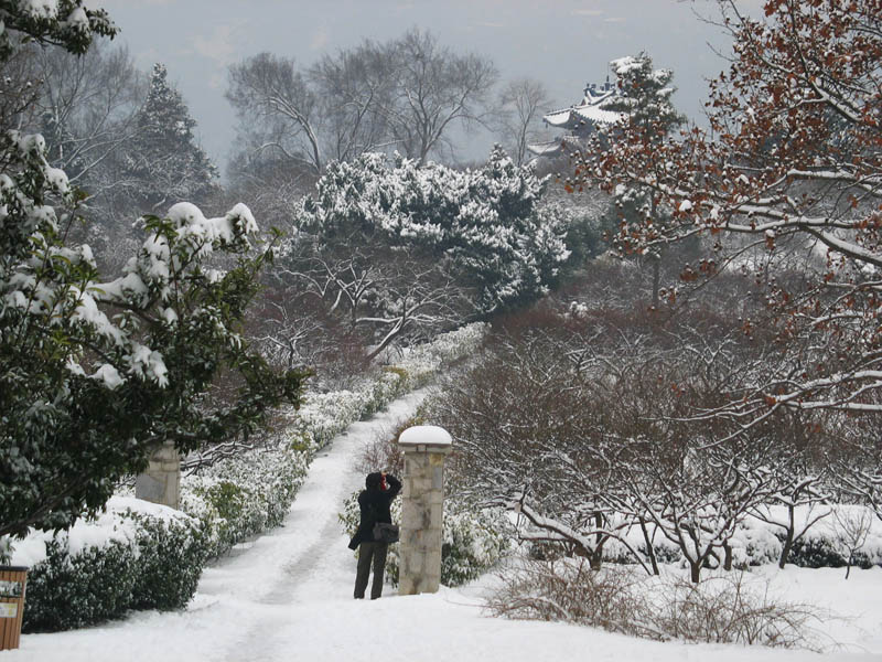 中山陵雪景四 摄影 山脚下的炊烟