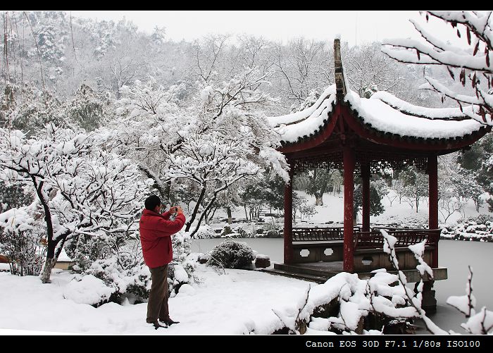 园林雪景 摄影 柯闲客