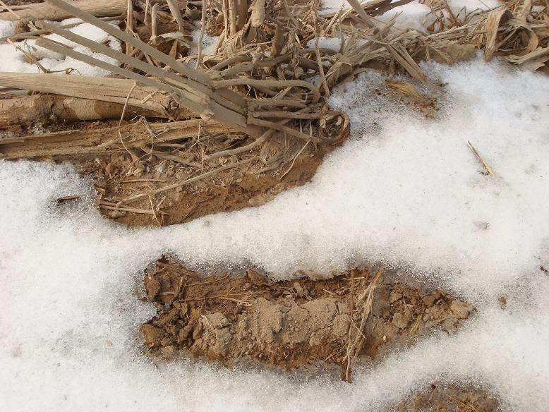 雪化 摄影 涉水寻湖