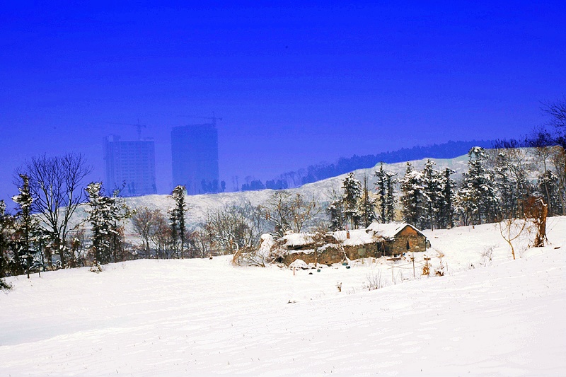 雪后山上一景 摄影 舒石