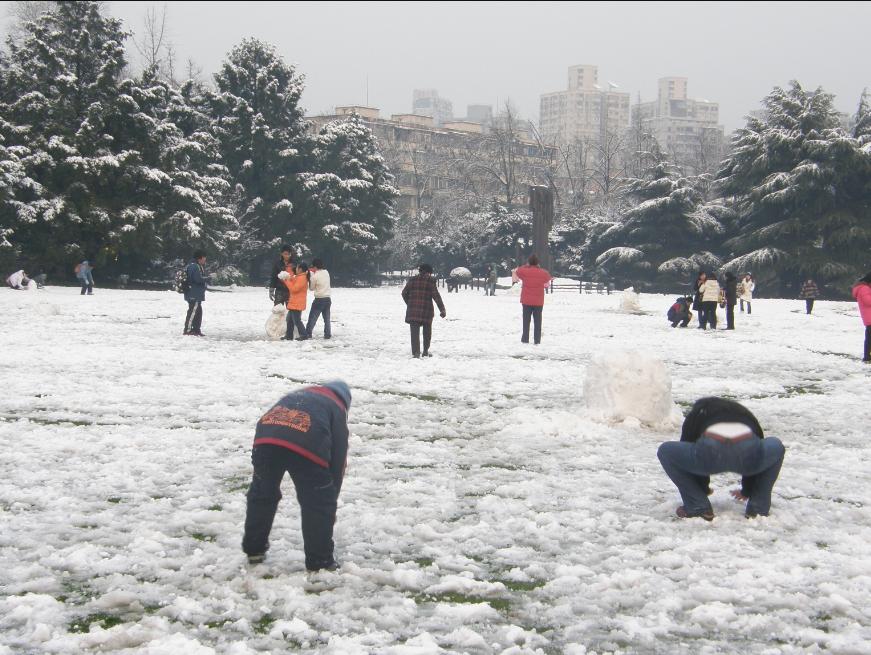 廿四年来最大的雪哦，开心的玩雪者们 摄影 chan2000