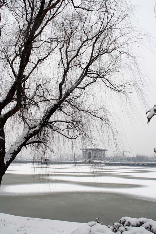 雪景 摄影 菁菁菁