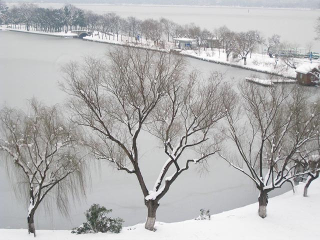 风雪玄武湖畔 摄影 KOALA考拉