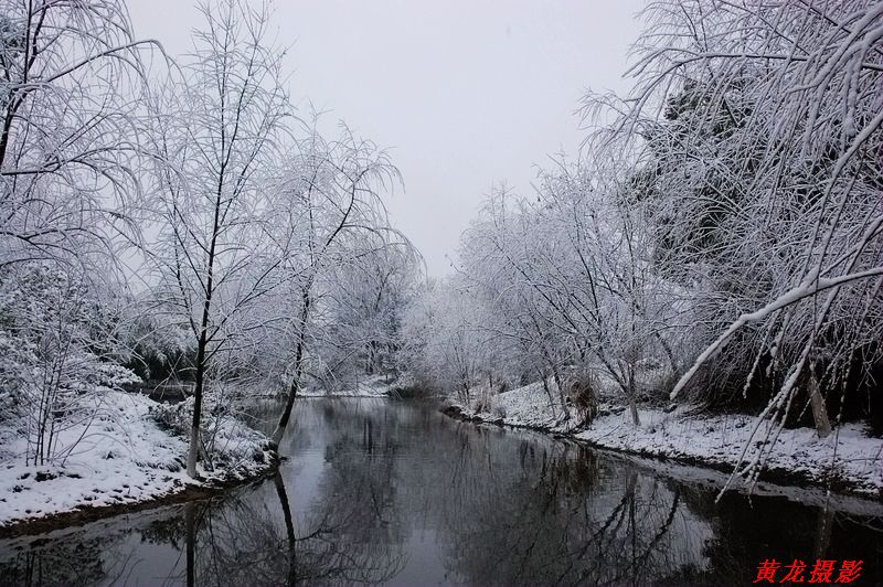 雪景-2 摄影 黄龙