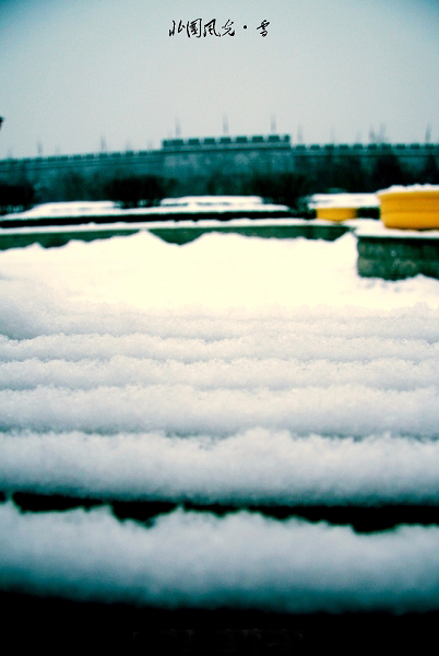 西安 大雪 摄影 橘子红了