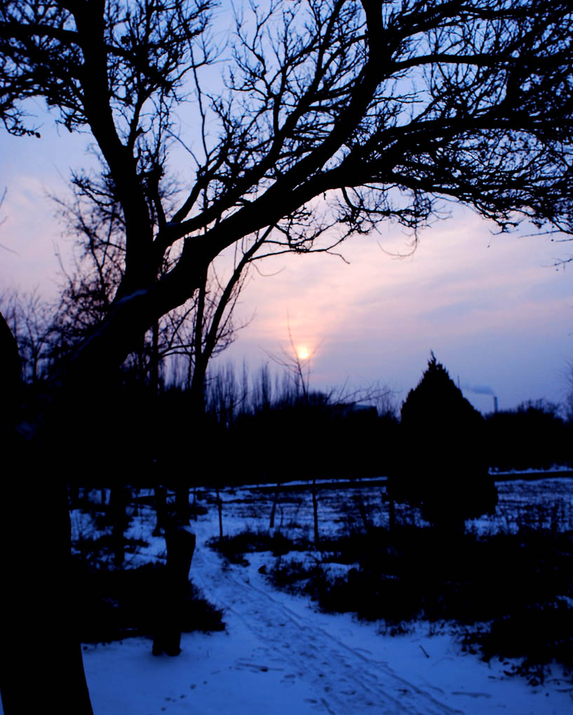 宁静的夕阳落日 摄影 紫风1022