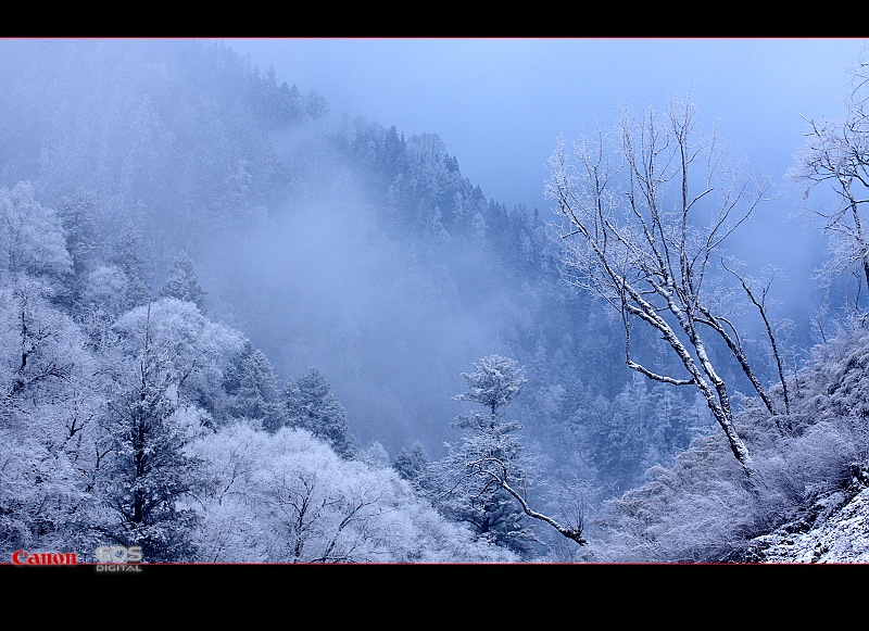 毕棚沟雪景 摄影 暗房小工