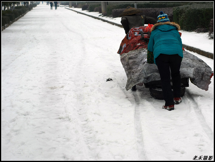 雪中送碳 摄影 老禾