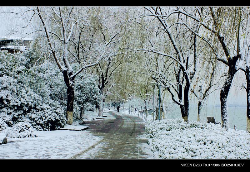 西湖雪景 摄影 swh902