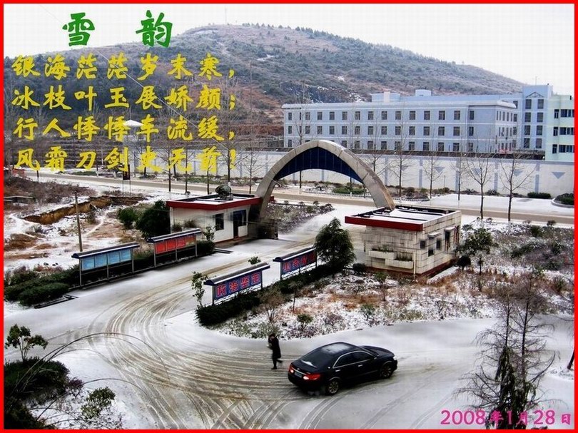 冰 雪 无 情 摄影 吾言